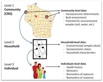 Level 1 - Community (CBG)
Community level data:
-Socioeconomic determinants
-Built environment
-Potential for environmental samples (soil, water, etc)

Level 2 - Household
Household-level data:
-Environmental samples (dust)
-Socioeconomic status
-Household characteristics

Level 3 - Individual
Individual-level data:
-Health history
-Behaviors
-Biomarkers of exposure
-Biomarkers of response