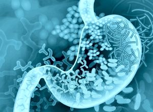 Active transportation, physical activity and gut microbiome diversity