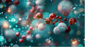 Biomonitoring of PFAS from the Survey of the Health of Wisconsin (SHOW) and comparison with the National Health and Nutrition Examination Survey (NHANES).